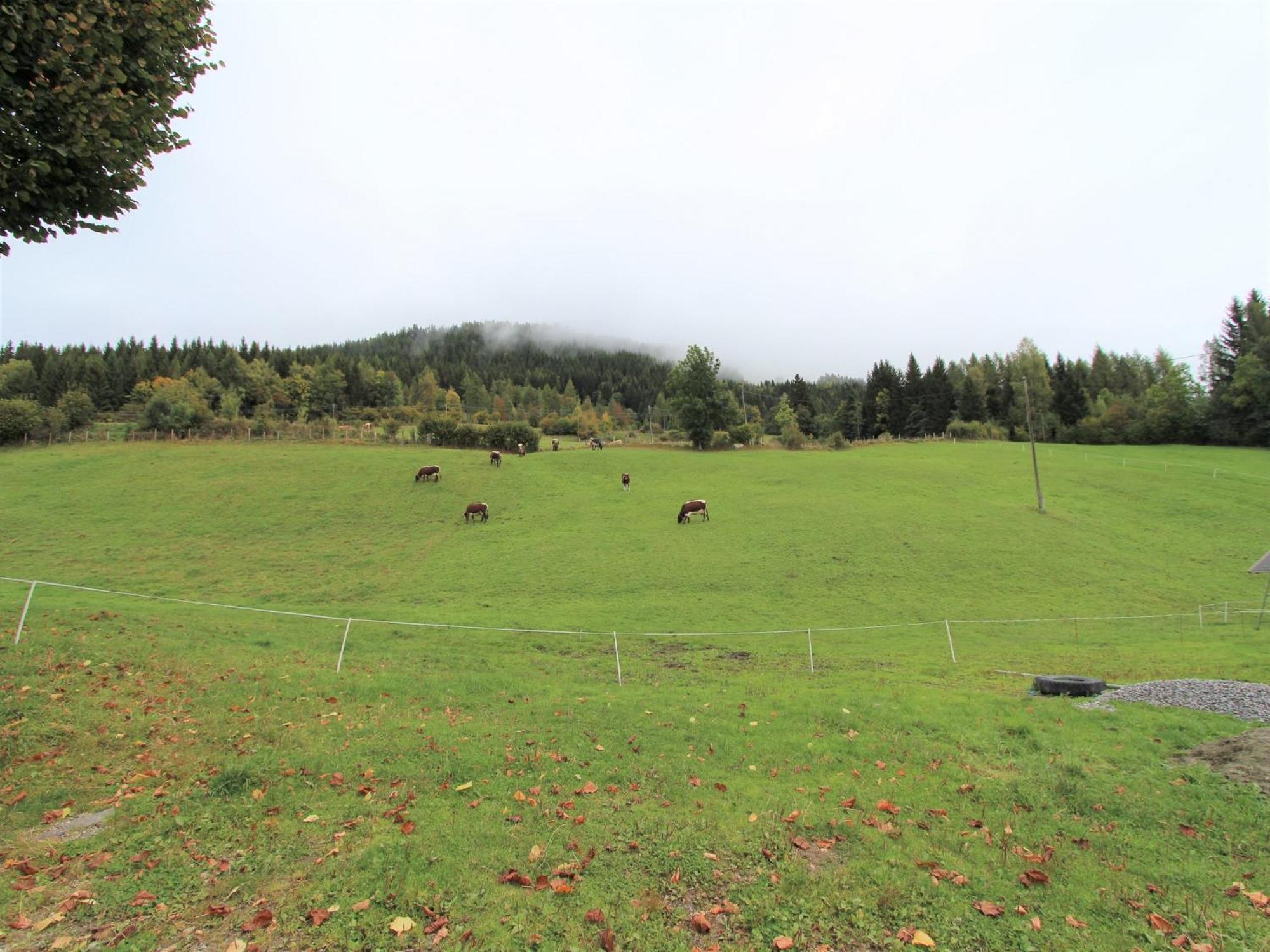 Characterful Old Farmhouse With 4 Apartments In Fresach Carinthia With Garden Buitenkant foto